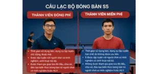 Thành viên miễn phí & đóng phí